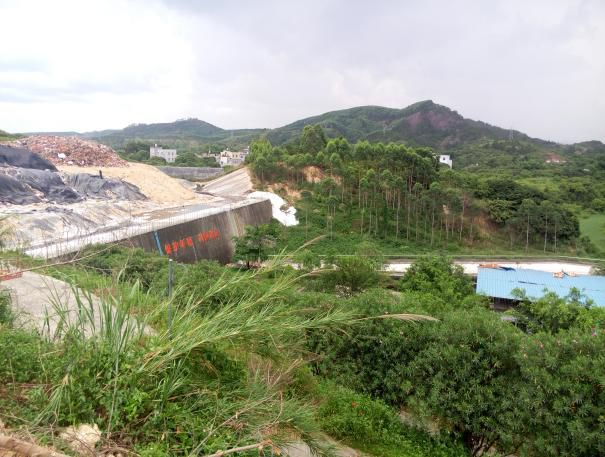 5ddeb1a392881.png 3.png